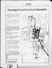 Síða 20