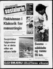 Síða 1