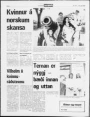 Síða 2