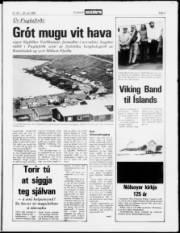Síða 3