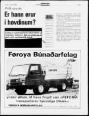 Síða 7
