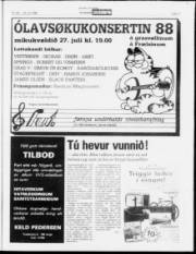 Síða 17