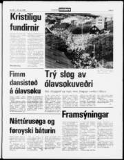 Síða 3