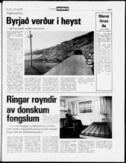 Síða 5