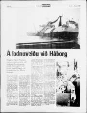 Síða 18