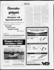 Síða 21