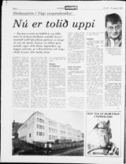 Síða 2