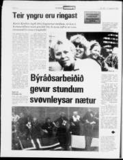 Síða 4