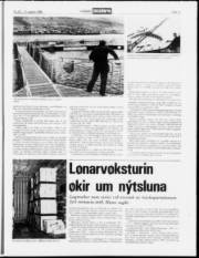 Síða 11