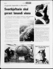 Síða 14
