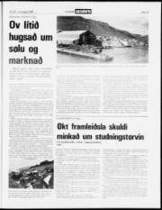 Síða 15