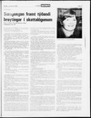 Síða 17