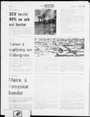 Síða 18