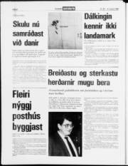 Síða 22