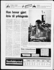 Síða 24