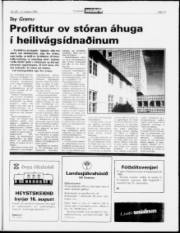 Síða 13