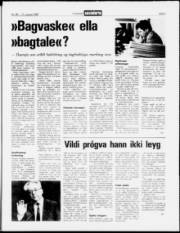 Síða 3