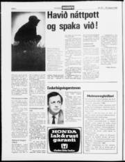 Síða 2