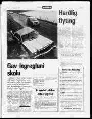 Síða 3