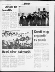 Síða 15