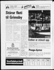 Síða 24