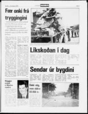 Síða 5