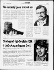 Síða 7
