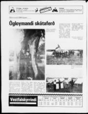 Síða 16
