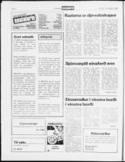 Síða 6