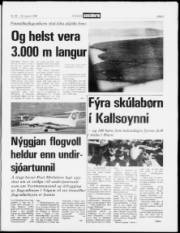 Síða 3
