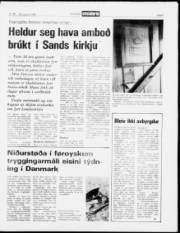 Síða 5