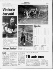 Síða 9