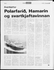 Síða 12