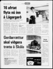 Síða 3