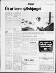 Síða 4