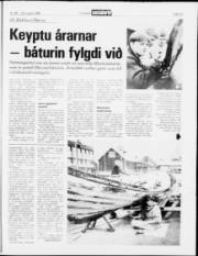Síða 15