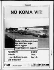 Síða 17