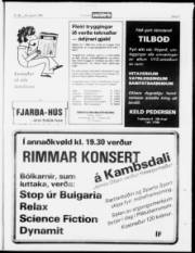 Síða 21