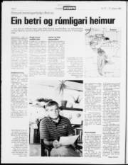 Síða 4