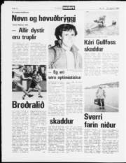 Síða 10