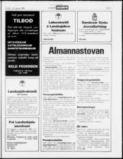 Síða 17