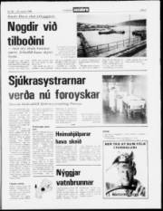 Síða 3