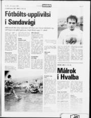 Síða 12