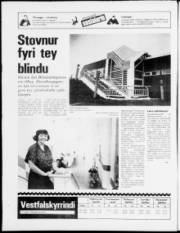 Síða 19