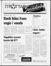 Síða 13