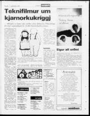 Síða 19