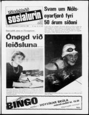 Síða 1