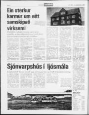 Síða 2