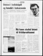 Síða 7