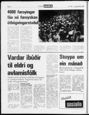 Síða 8